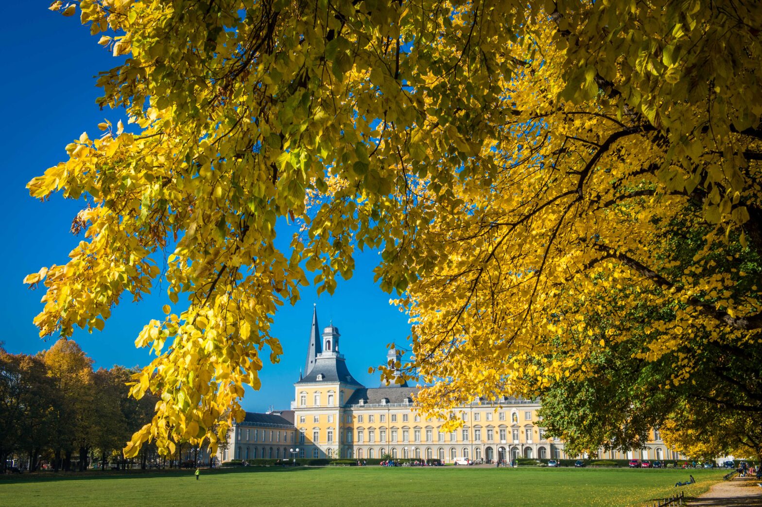 The main building of the University of Bonn in autumn, with a tree bearing yellow leaves in the foreground.